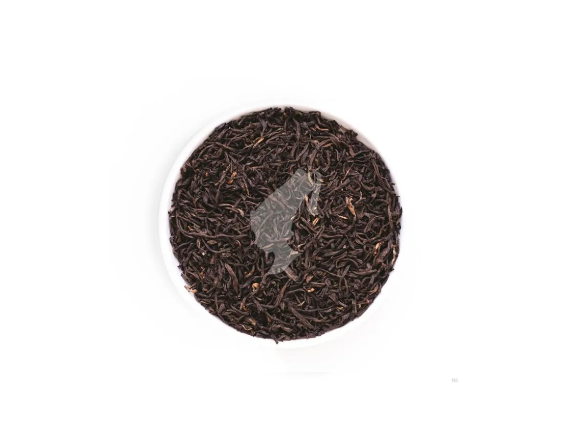 Julius Meinl Bio Tee|Blatt Tees>Bio Grüntee Jasmin Blatt Tee 250g (8.81 oz)